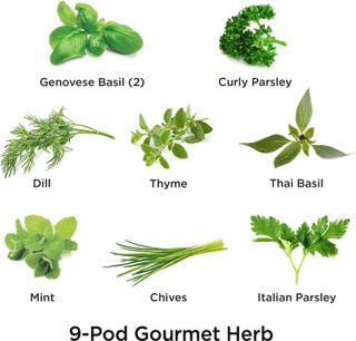 No. 3 - AeroGarden Gourmet Herb Seed Pod Kit - 2