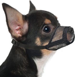 Top 10 Best Dog Muzzles for Training and Safety- 2