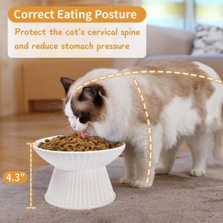 No. 4 - COMESOON 6.5" Extra Wide Ceramic Elevated Cat Bowl - 3