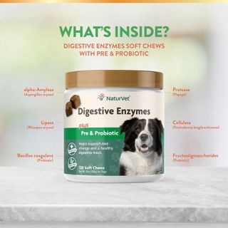 No. 7 - Digestive Enzymes for Dogs and Cats - 3