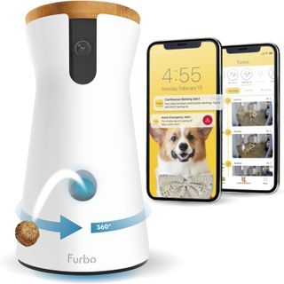 Top 10 Best Pet Cameras for Monitoring Your Pets- 5