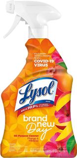 No. 5 - Lysol All-Purpose Cleaner - 1