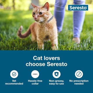 No. 3 - Seresto Cat Vet-Recommended Flea & Tick Treatment & Prevention Collar - 3