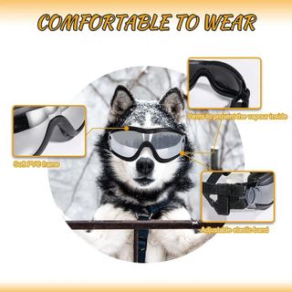 No. 1 - NVTED Dog Sunglasses - 2