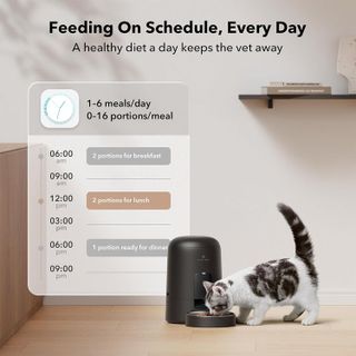 No. 1 - PETLIBRO Automatic Cat Feeder - 3