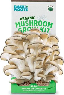 No. 4 - Back to the Roots Organic Oyster Mushroom Grow Kit - 1