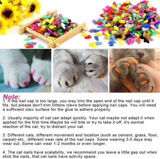 No. 10 - VICTHY Soft Cat Claw Caps - 5