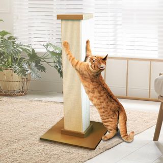 No. 3 - SmartCat Ultimate Scratching Post - 4