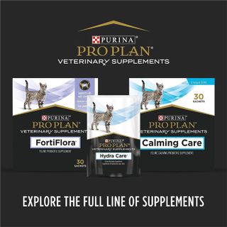 No. 2 - Purina Pro Plan Veterinary Supplements FortiFlora Cat Probiotic Supplement - 4