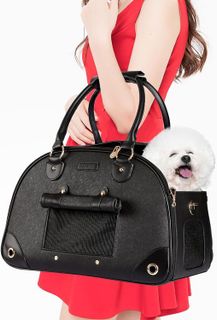 No. 5 - Sasapet Pet Carrier Purse - 1