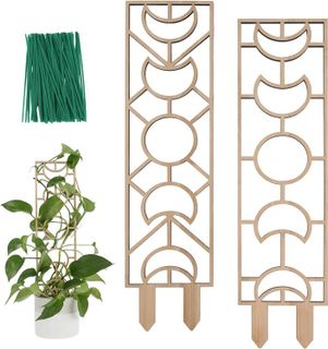 Top 10 Garden Trellises for Your Plant Support Needs- 4