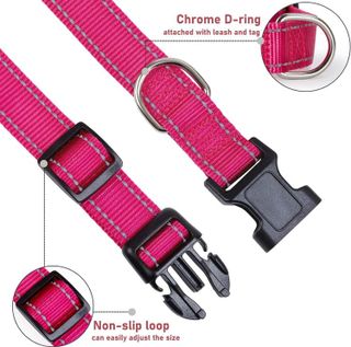 No. 9 - Reflective Dog Collar with Buckle - 3