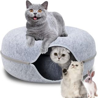 No. 5 - Cat Tunnel Bed - 1