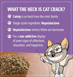 No. 2 - Cat Crack Catnip - 2