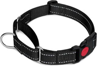 Top 10 Best Martingale Collars for Dogs- 5