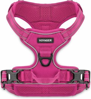 No. 10 - Voyager Dog Harness - 1