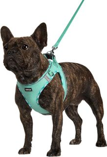 No. 9 - AMTOR Dog Harness with Leash Set - 1