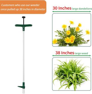 No. 8 - Walensee Manual Weed Puller - 4