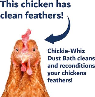 No. 5 - Chickie - Whiz Dust Bath - 4