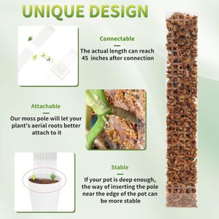 No. 1 - EOX 24 Inch Plastic 2 Pcs Sphagnum Moss Pole - 3