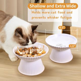 No. 4 - COMESOON 6.5" Extra Wide Ceramic Elevated Cat Bowl - 2