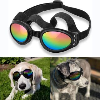 Top 10 Best Dog Sunglasses for Your Furry Friend- 3