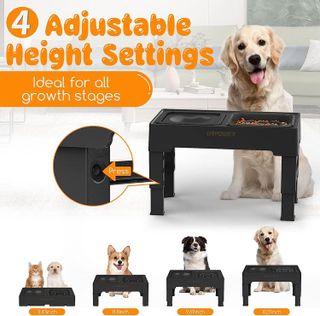 No. 9 - URPOWER 2-in-1 Elevated Slow Feeder Dog Bowls - 2