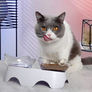 No. 6 - MILIFUN Cat Food Bowls Elevated Tilted - 4