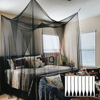 Top 10 Bed Canopies for a Dreamy Bedroom- 5