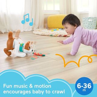No. 5 - Fisher-Price 123 Crawl With Me Puppy - 2