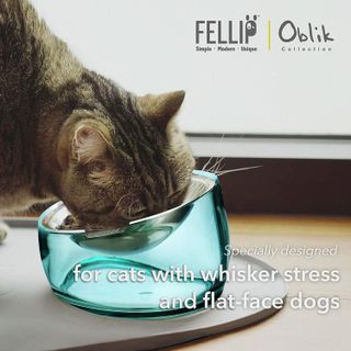 No. 8 - Felli Pet Oblik Whisker Fatigue Friendly Raised Cat Food Bowl - 2