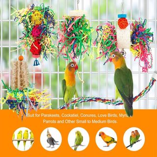 No. 3 - LovyCoCo Bird Shredder Toy - 5