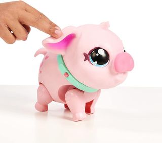 No. 9 - Piggly Interactive Pig - 5