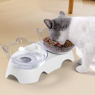 No. 6 - MILIFUN Cat Food Bowls Elevated Tilted - 2