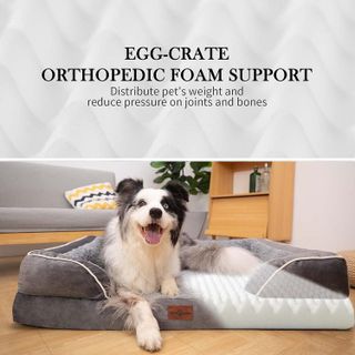 No. 4 - Comfort Expression Waterproof Orthopedic Foam Dog Beds - 3