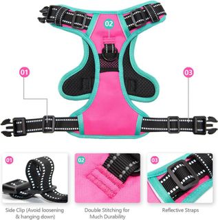 No. 10 - PHOEPET No Pull Dog Harness - 4