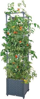 Top 10 Garden Trellises for Your Plant Support Needs- 5