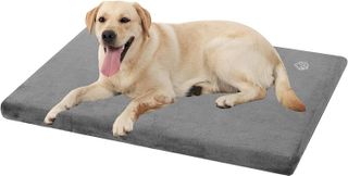 No. 4 - EMPSIGN Stylish Dog Bed Mat - 1