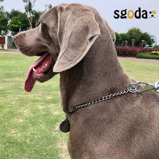 No. 2 - SGODA Chain Dog Training Choke Collar - 3