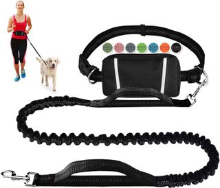 Top 10 Best Hands-Free Dog Leashes for Walking Your Dog- 2