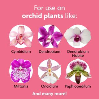 No. 8 - Miracle-Gro Ready-To-Use Orchid Plant Food Mist - 5