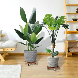 No. 5 - HOHY Plant Caddy - 2