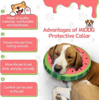 No. 4 - MIDOG Dog Cone Collar - 3