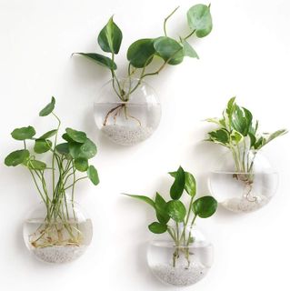 Top 10 Terrariums and Plant Propagation Stations for Stylish Home Decor- 3