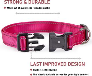 No. 9 - Reflective Dog Collar with Buckle - 2