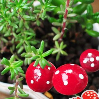 No. 6 - UTENEW Miniature Garden Accessories - 2