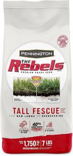 No. 7 - Pennington The Rebels Tall Fescue - 1