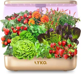 No. 10 - LYKOCLEAN Hydroponic Growing Kit - 1