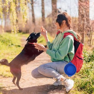 10 Best Portable Pet Bowls for Traveling and Hiking- 4