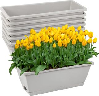 Top 10 Best Window Boxes for Indoor Gardening- 3